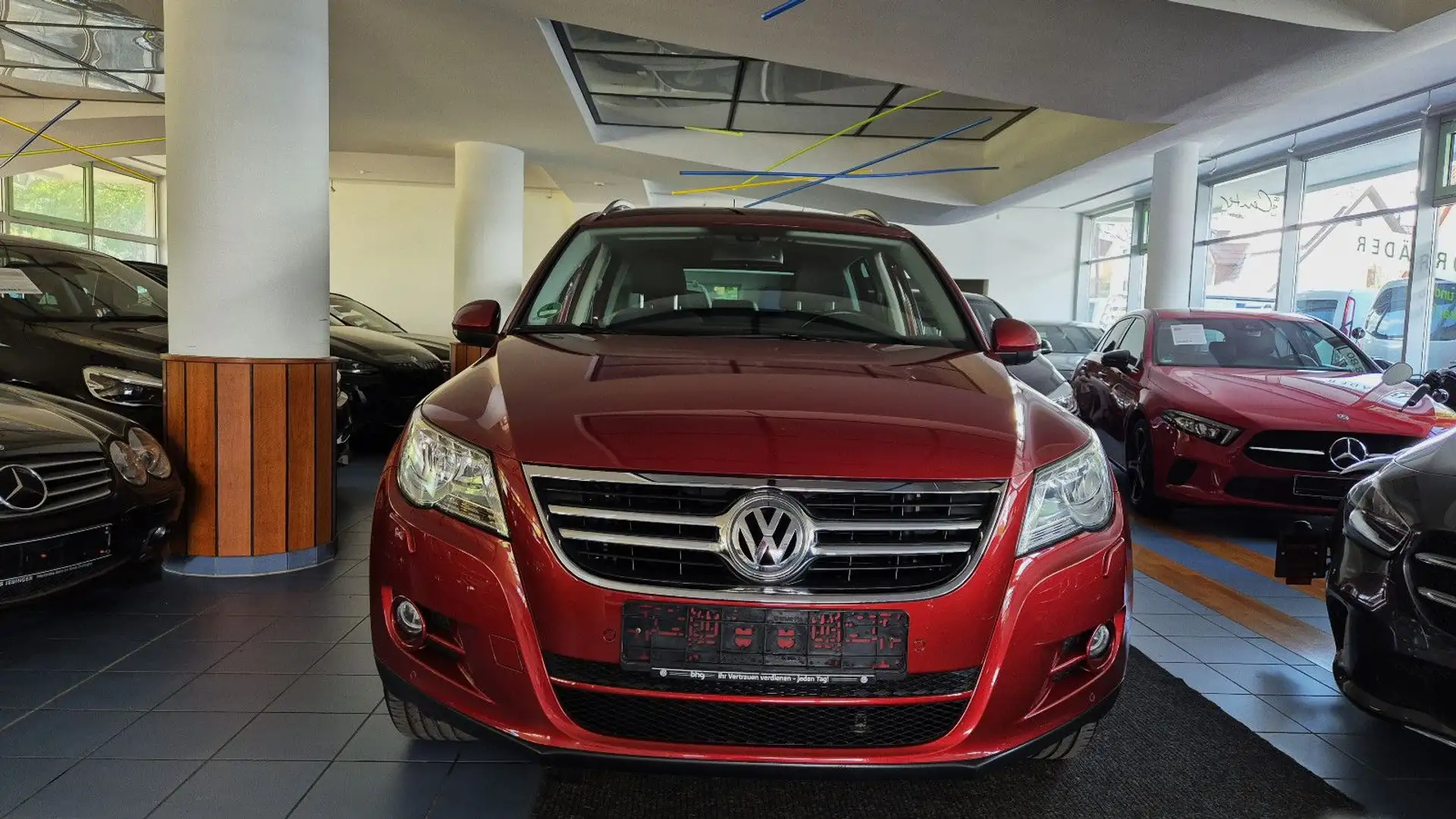 Volkswagen Tiguan Team/AHK/Navi/Parkassi/SHZ/Sportsitz/Temp Rot - 2