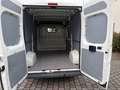 Peugeot Boxer HDi  AVANTAGE. EU5 ! TÜV-NEU!  1-HD ! Weiß - thumbnail 5