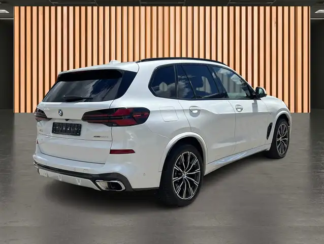 BMW X5 view 5