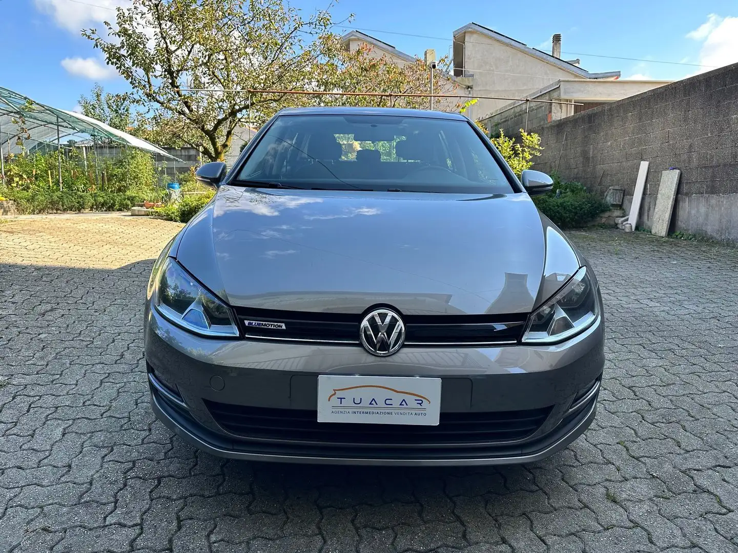 Volkswagen Golf Executive 1.4 TGI BlueMotion Grau - 2