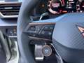 CUPRA Leon 1.5 eTSI DSG+Sennh+Matrix+Edge+Dynamic+Desi Grau - thumbnail 18