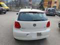 Volkswagen Polo Polo 5p 1.2 tdi Comfortline#OK NEOPATENTATI Bianco - thumbnail 4