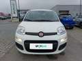 Fiat Panda 4x2 FireFly Hybrid 70 Weiß - thumbnail 2