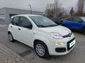 Fiat Panda 4x2 FireFly Hybrid 70 Weiß - thumbnail 3