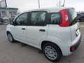 Fiat Panda 4x2 FireFly Hybrid 70 Weiß - thumbnail 7