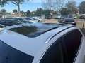 Audi Q5 2.0 TFSI quattro Pro Line S EXPORT/EX BPM/FULL OPT Blanco - thumbnail 16