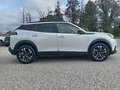 Peugeot 2008 1.5 bluehdi Allure 130cv eat8 unicoprop Ivaesposta Bianco - thumbnail 4