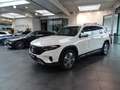 Mercedes-Benz EQB 350 4M *ElectricArt 7-Sitzer Kamera 360° LED Weiß - thumbnail 18