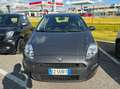 Fiat Punto Punto 1.2 8V 5 porte Street "NESSUN VINCOLO" - thumbnail 2