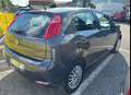Fiat Punto Punto 1.2 8V 5 porte Street "NESSUN VINCOLO" - thumbnail 6