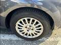 Fiat Punto Punto 1.2 8V 5 porte Street "NESSUN VINCOLO" - thumbnail 5