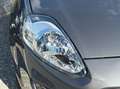 Fiat Punto Punto 1.2 8V 5 porte Street "NESSUN VINCOLO" - thumbnail 4