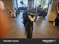 Triumph Tiger 1200 GT Pro Abs Grigio - thumbnail 7