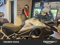 Triumph Tiger 1200 GT Pro Abs Grigio - thumbnail 13