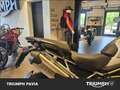 Triumph Tiger 1200 GT Pro Abs Grigio - thumbnail 11