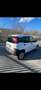 Fiat New Panda N1 - thumbnail 3