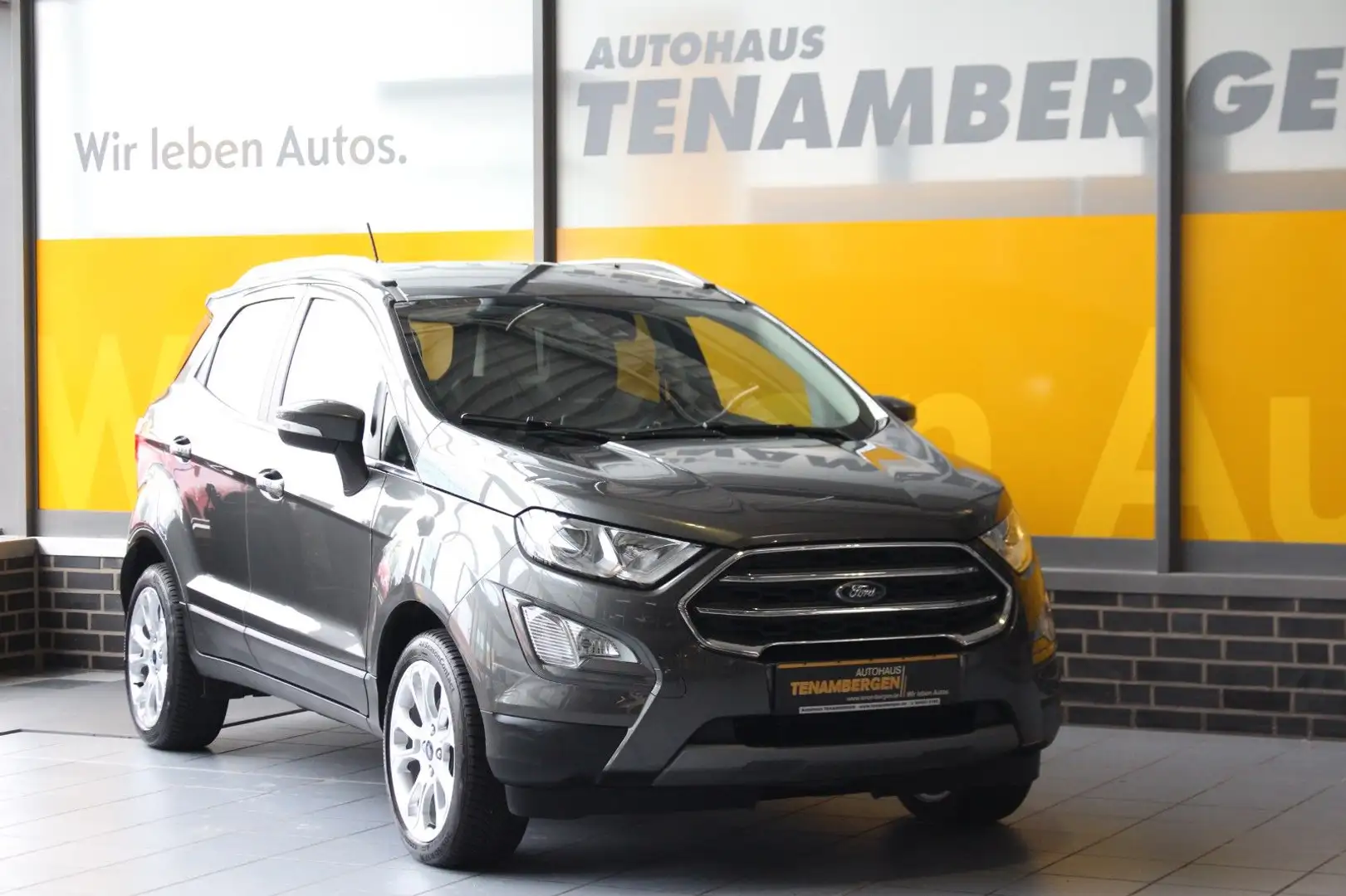 Ford EcoSport Titanium Winter & Technikpaket B&O Grau - 2