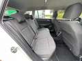 Volkswagen Golf Variant 1.0 eTSI - 2021/080.000km/Euro 6b - AUTOMAAT Wit - thumbnail 11