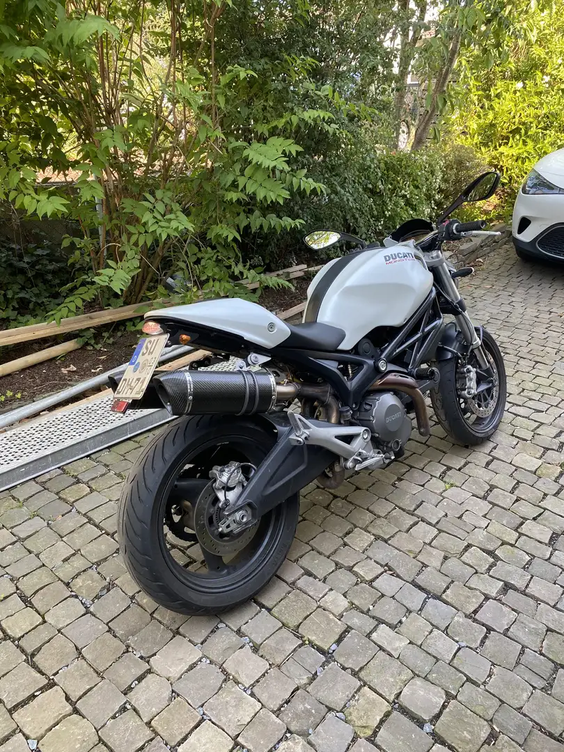 Ducati Monster 695 abs Beżowy - 2