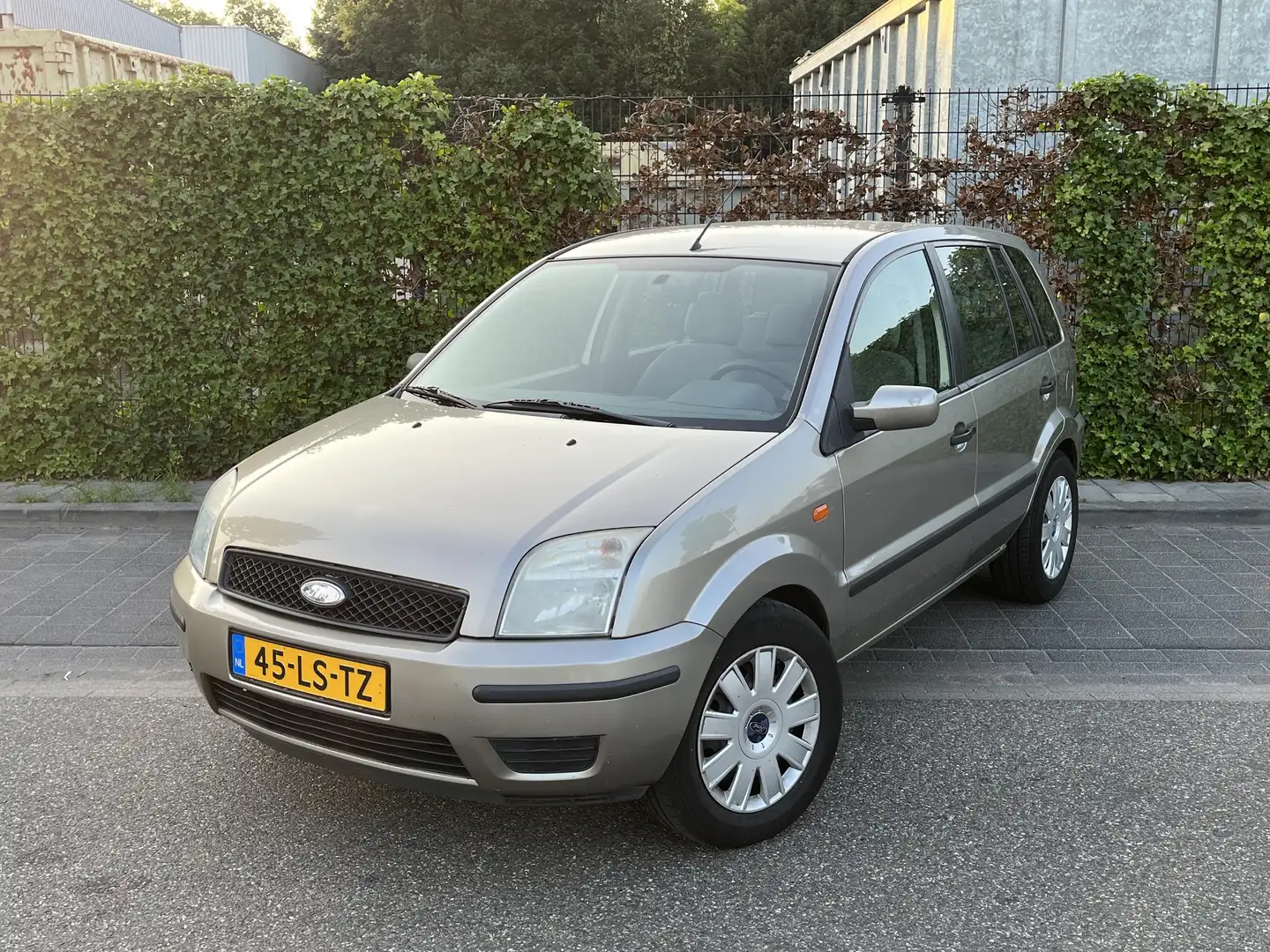Ford Fusion 1.4-16V Trend Gris - 1