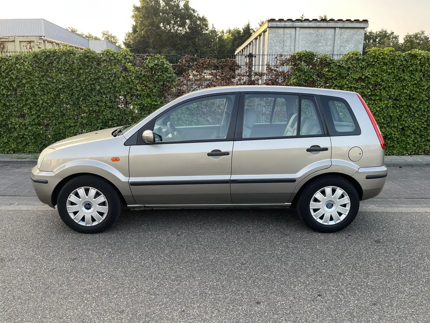 Ford Fusion 1.4-16V Trend Grijs - 2