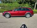 Audi A4 allroad QUATTRO / HYBRID / AUT / NAVI / BTW Rood - thumbnail 3
