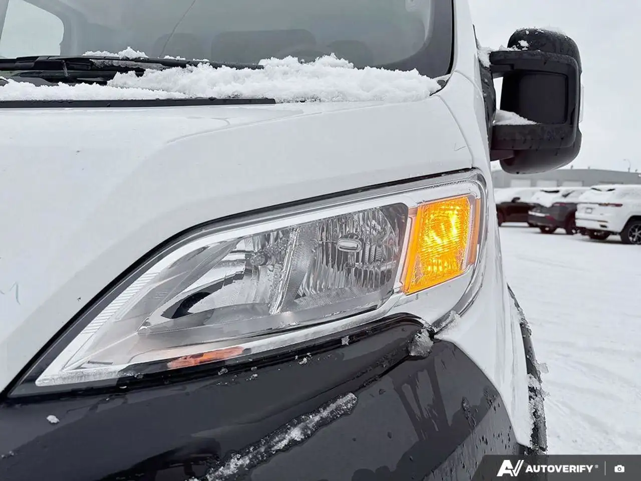 RAM Promaster снимка RAM Promaster