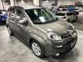 Fiat Panda 1.0 FireFly S&S Hybrid Grau - thumbnail 2