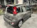 Fiat Panda 1.0 FireFly S&S Hybrid Grau - thumbnail 3