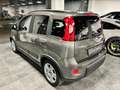 Fiat Panda 1.0 FireFly S&S Hybrid Grau - thumbnail 4