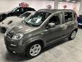 Fiat Panda 1.0 FireFly S&S Hybrid Grau - thumbnail 1
