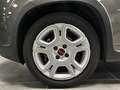 Fiat Panda 1.0 FireFly S&S Hybrid Grau - thumbnail 6