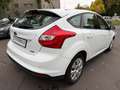 Ford Focus Lim. Trend*KLIMAAUTOMATIK*PDC*1.HAND* Weiß - thumbnail 6