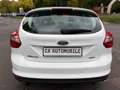 Ford Focus Lim. Trend*KLIMAAUTOMATIK*PDC*1.HAND* Weiß - thumbnail 5