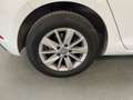 Volkswagen Golf 1.6TDI Ready2GO 85kW Blanco - thumbnail 30