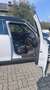 MINI Cooper D Countryman Cooper D All4 - SCHIEBEDACH, JCW VOLLAUSSTATTUNG Weiß - thumbnail 8