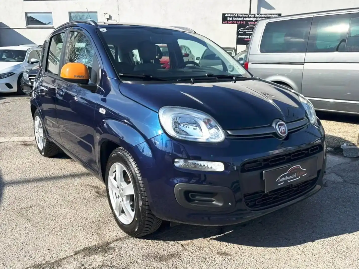 Fiat Panda 1,2 Basis mit PICKERL 07/2026 Anhängerkupplung Blau - 1