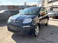 Fiat Panda 1,2 Basis mit PICKERL 07/2026 Anhängerkupplung Blau - thumbnail 7