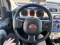 Fiat Panda 1,2 Basis mit PICKERL 07/2026 Anhängerkupplung Blau - thumbnail 14