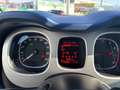Fiat Panda 1,2 Basis mit PICKERL 07/2026 Anhängerkupplung Blau - thumbnail 15