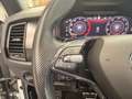 Skoda Kodiaq 2.0 TDI Sportline 1-Hand 7-Sitzer DSG *Standheizun Grau - thumbnail 24