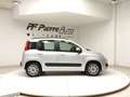 Fiat Panda 3ª serie - Panda 1.2 Lounge Gris - thumbnail 5