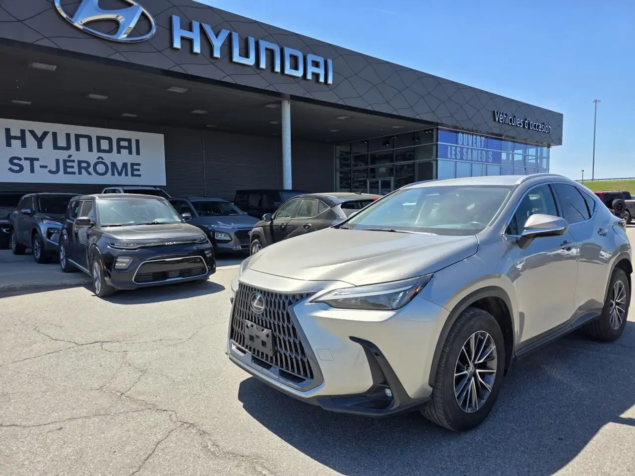 2023 Lexus NX