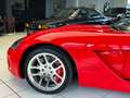 Dodge Viper SRT-10 *8,3*erst 23Tkm*Bicolor*Top Rood - thumbnail 7