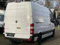 Mercedes-Benz Sprinter 316 CDI//L2/H2//Aut.//KLIMA//AHK// Weiß - thumbnail 3