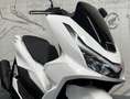 Honda PCX 125 Weiß - thumbnail 3