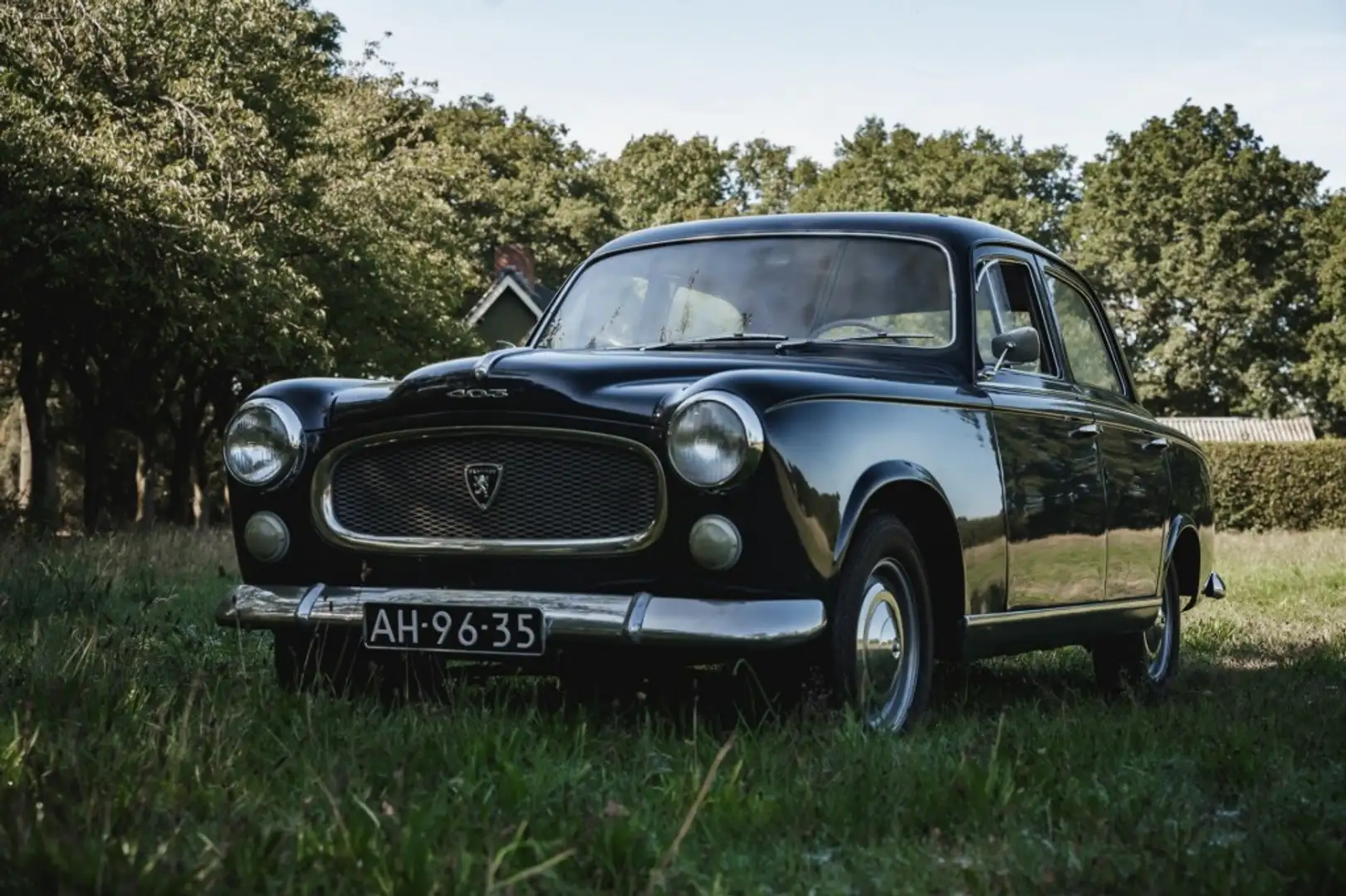 Peugeot - Blauw - 2