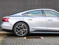Audi e-tron GT quattro-Panodak-Zetelverwarming Silber - thumbnail 6