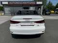 Audi A3 Cabriolet 1,4 TFSI intense *Toller Zustand* Wit - thumbnail 5