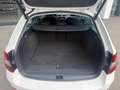 Skoda Octavia Style Limited TDI DSG Weiß - thumbnail 9